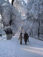 Almaty_winter_Street