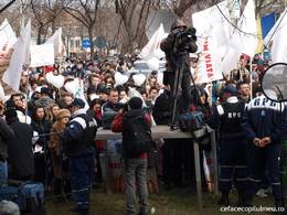 miting-stop-etnobotanice_cefacecopilulmeu.ro-06