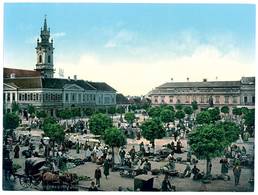 ORADEA-1890-wb